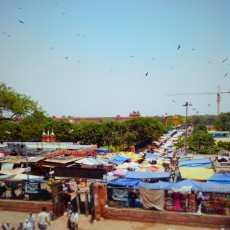 Birds Over Meena Bazar