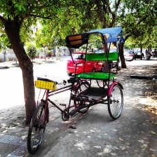 DEL-Jasola Rickshaw in Shade