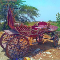 Jasola Horse-drawn Carriage