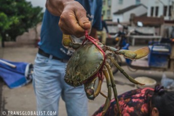 Crab at Qiligang Market